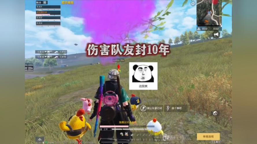和平精英《迪达拉pro》辅助
