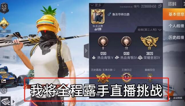 和平精英《火锅》辅助
